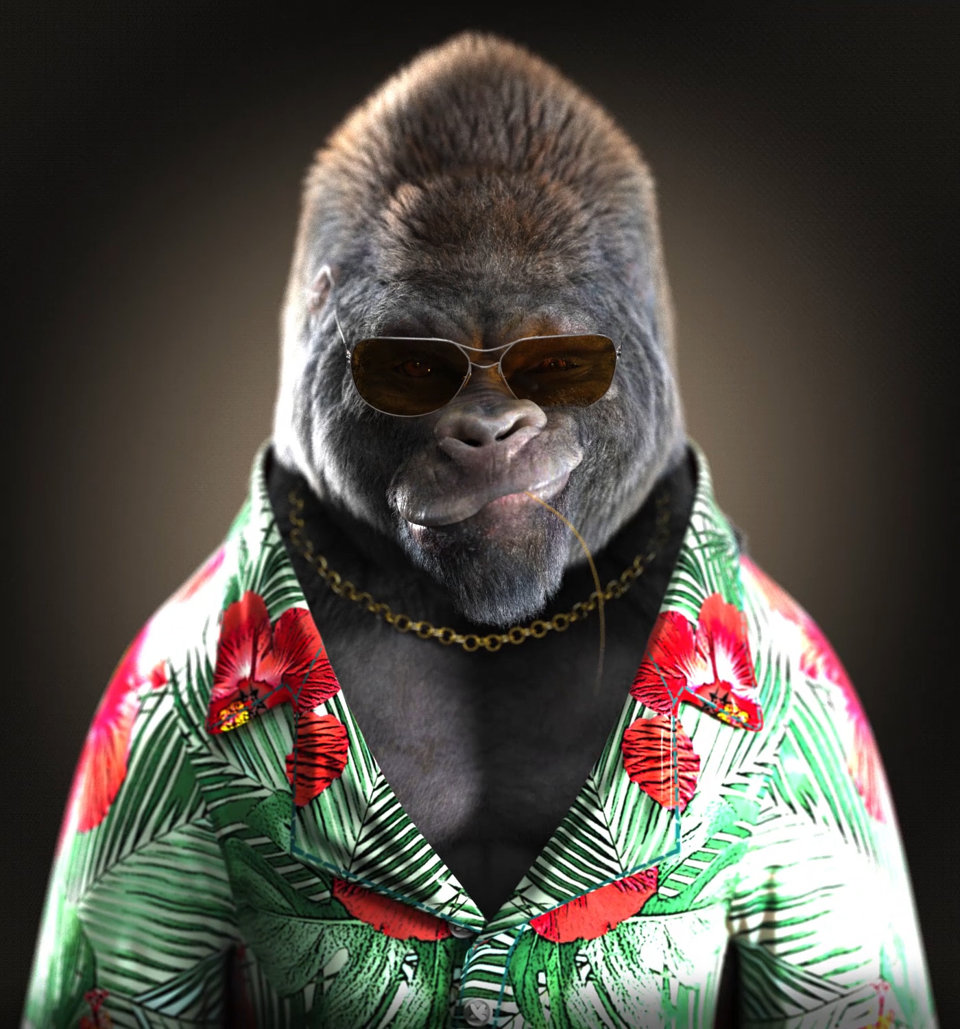 zoomOutWaikiki_preview